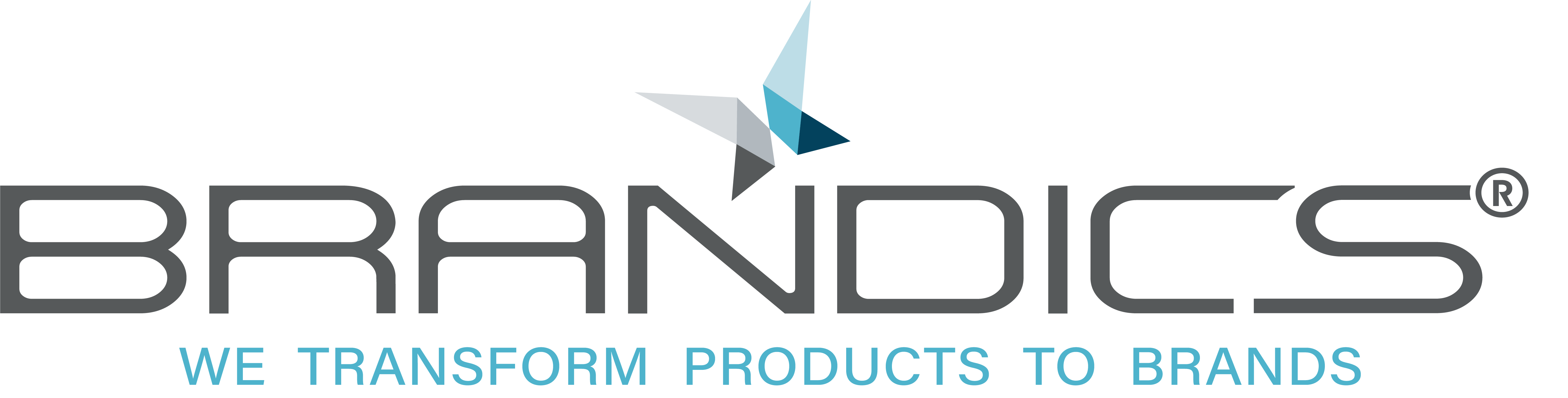 Brandics Logo